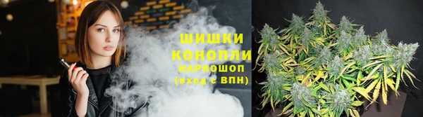 шишки Алексеевка
