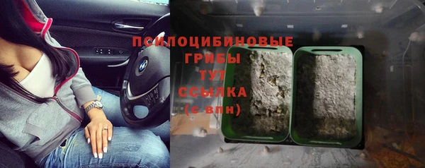 ALPHA PVP Алзамай