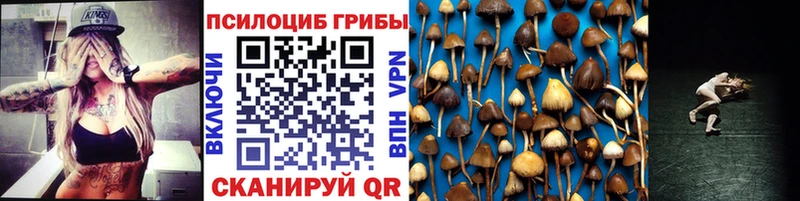 Галлюциногенные грибы GOLDEN TEACHER  где продают   Навашино 